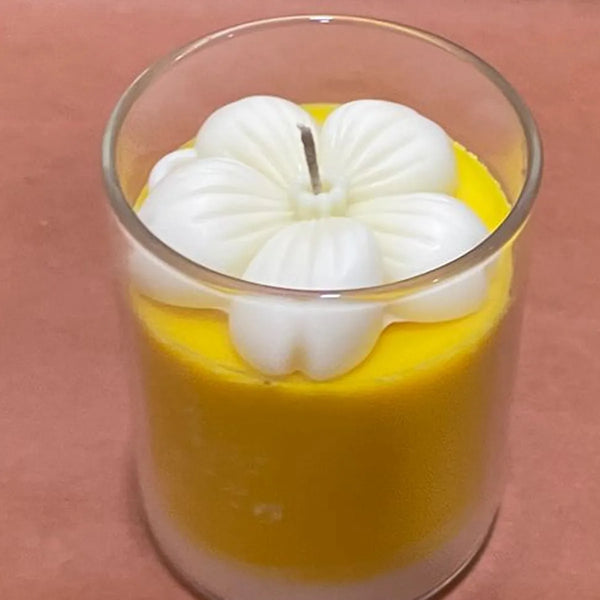 Mango Scented Candle – Premium Soy & Gel Wax Blend